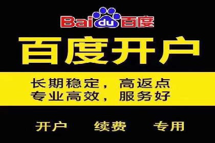 百度推广公司：成功案例解析